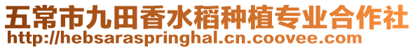 五常市九田香水稻種植專業合作社