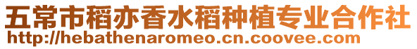 五常市稻亦香水稻種植專業合作社