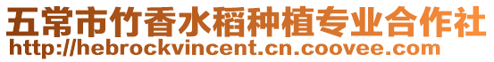 五常市竹香水稻種植專業合作社