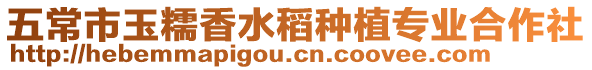 五常市玉糯香水稻種植專業合作社