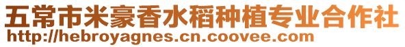 五常市米豪香水稻種植專業(yè)合作社