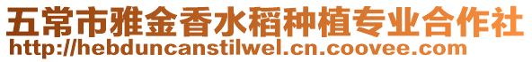 五常市雅金香水稻種植專業合作社