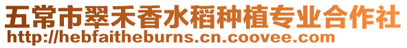五常市翠禾香水稻種植專業合作社