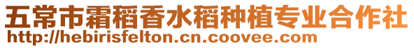 五常市霜稻香水稻種植專業合作社