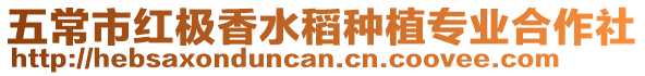 五常市紅極香水稻種植專業合作社