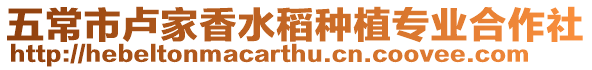 五常市盧家香水稻種植專業合作社