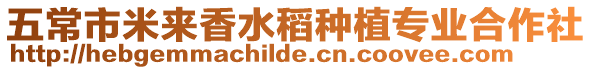 五常市米來香水稻種植專業合作社