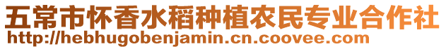 五常市懷香水稻種植農民專業合作社
