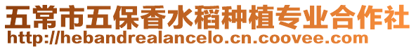 五常市五保香水稻種植專業(yè)合作社