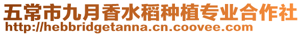 五常市九月香水稻種植專業(yè)合作社