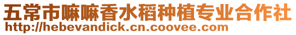五常市嘛嘛香水稻種植專業合作社