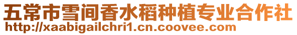 五常市雪間香水稻種植專業(yè)合作社
