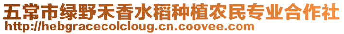 五常市綠野禾香水稻種植農(nóng)民專業(yè)合作社