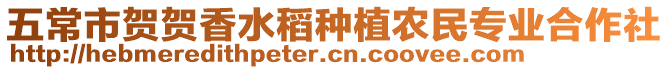 五常市賀賀香水稻種植農民專業合作社