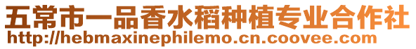 五常市一品香水稻種植專業(yè)合作社