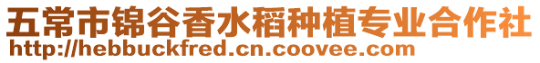 五常市錦谷香水稻種植專業合作社
