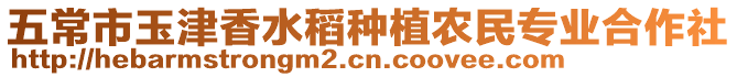 五常市玉津香水稻種植農民專業合作社