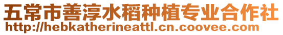 五常市善淳水稻種植專業合作社