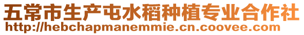 五常市生產(chǎn)屯水稻種植專業(yè)合作社