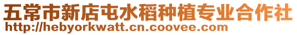 五常市新店屯水稻種植專業合作社