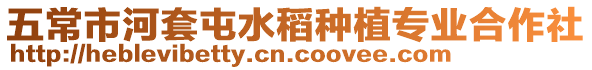 五常市河套屯水稻種植專業合作社
