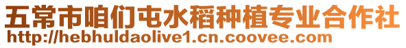 五常市咱們屯水稻種植專業合作社