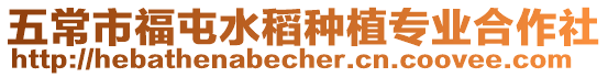 五常市福屯水稻種植專業(yè)合作社