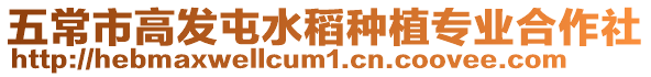 五常市高發屯水稻種植專業合作社