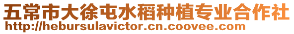 五常市大徐屯水稻種植專業合作社