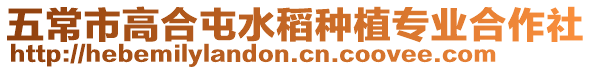 五常市高合屯水稻種植專業合作社