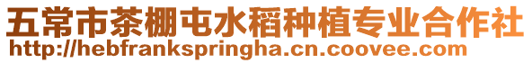五常市茶棚屯水稻種植專業合作社