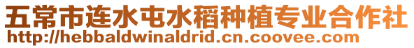 五常市連水屯水稻種植專業合作社