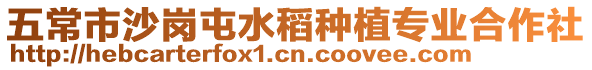 五常市沙崗屯水稻種植專業合作社