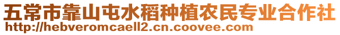 五常市靠山屯水稻種植農民專業合作社