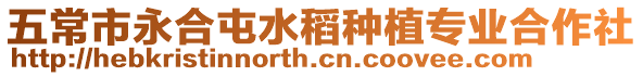 五常市永合屯水稻種植專業合作社