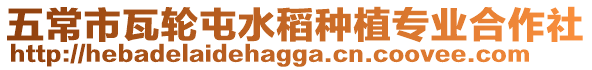 五常市瓦輪屯水稻種植專業合作社