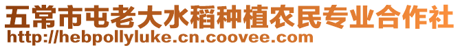 五常市屯老大水稻種植農民專業合作社
