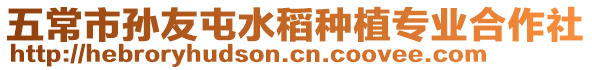 五常市孫友屯水稻種植專業合作社