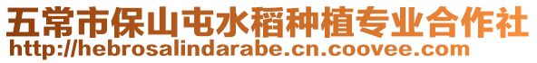 五常市保山屯水稻種植專業合作社