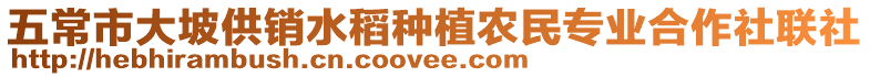 五常市大坡供銷水稻種植農民專業合作社聯社