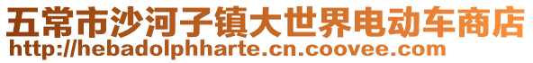 五常市沙河子鎮(zhèn)大世界電動車商店