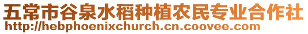 五常市谷泉水稻種植農(nóng)民專業(yè)合作社