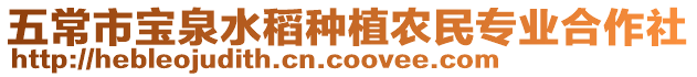 五常市寶泉水稻種植農民專業(yè)合作社