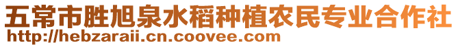 五常市勝旭泉水稻種植農民專業合作社
