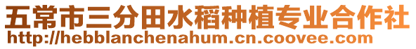 五常市三分田水稻種植專業(yè)合作社