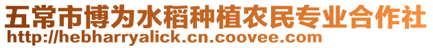 五常市博為水稻種植農民專業合作社