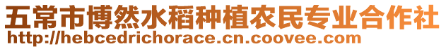 五常市博然水稻種植農民專業合作社