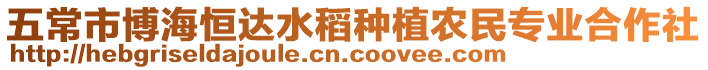 五常市博海恒達水稻種植農民專業合作社