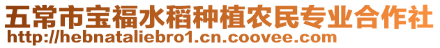 五常市寶福水稻種植農民專業合作社