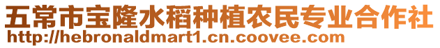 五常市寶隆水稻種植農民專業合作社